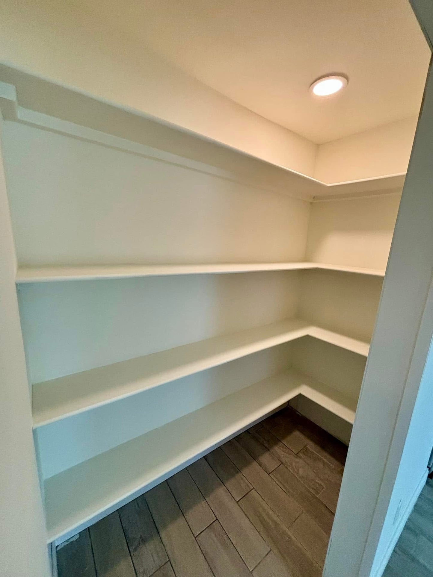 Custom Kitchen Pantry