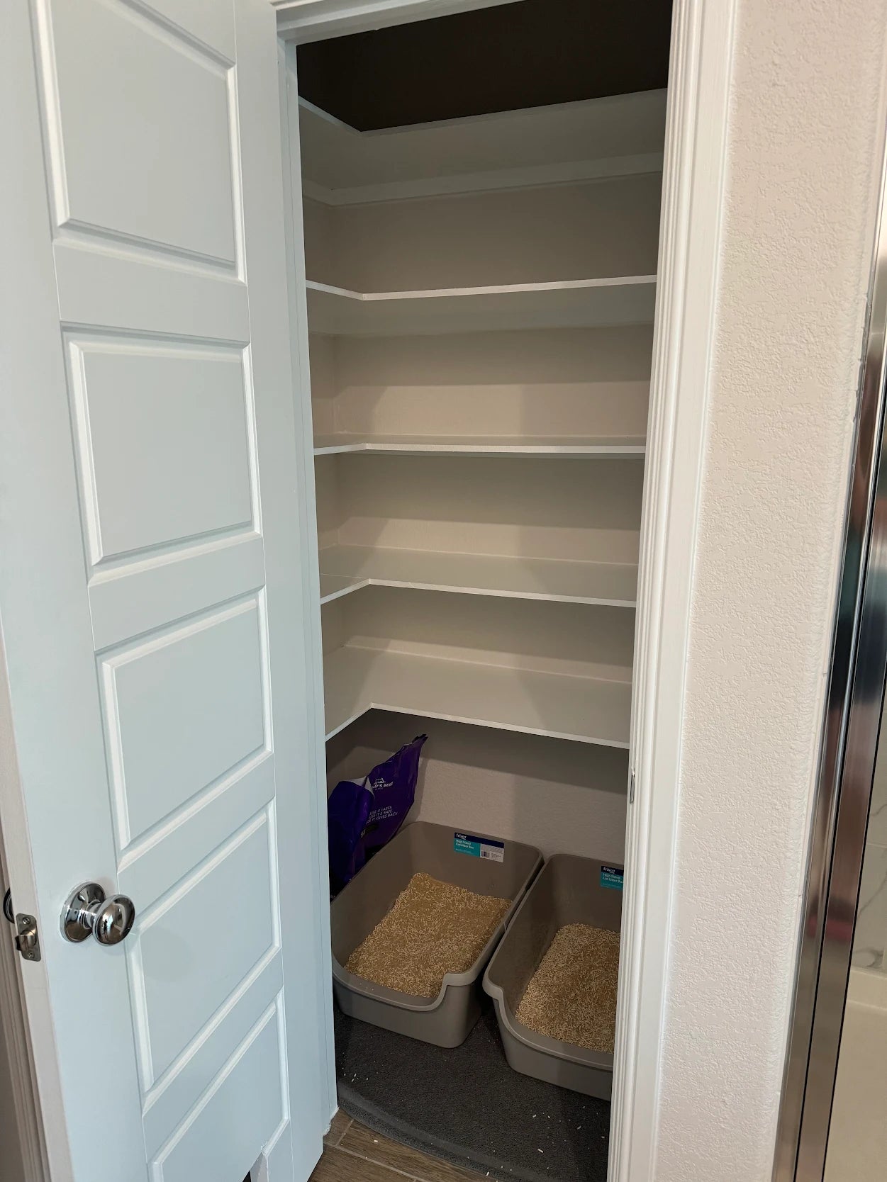 Custom Bathroom Closet Transformation